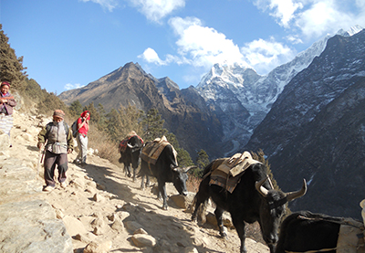 Sikkim Trekking Trail