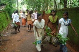 volunteers from Vayali on their way to traveller's forest