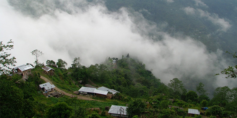 Assam-Nature